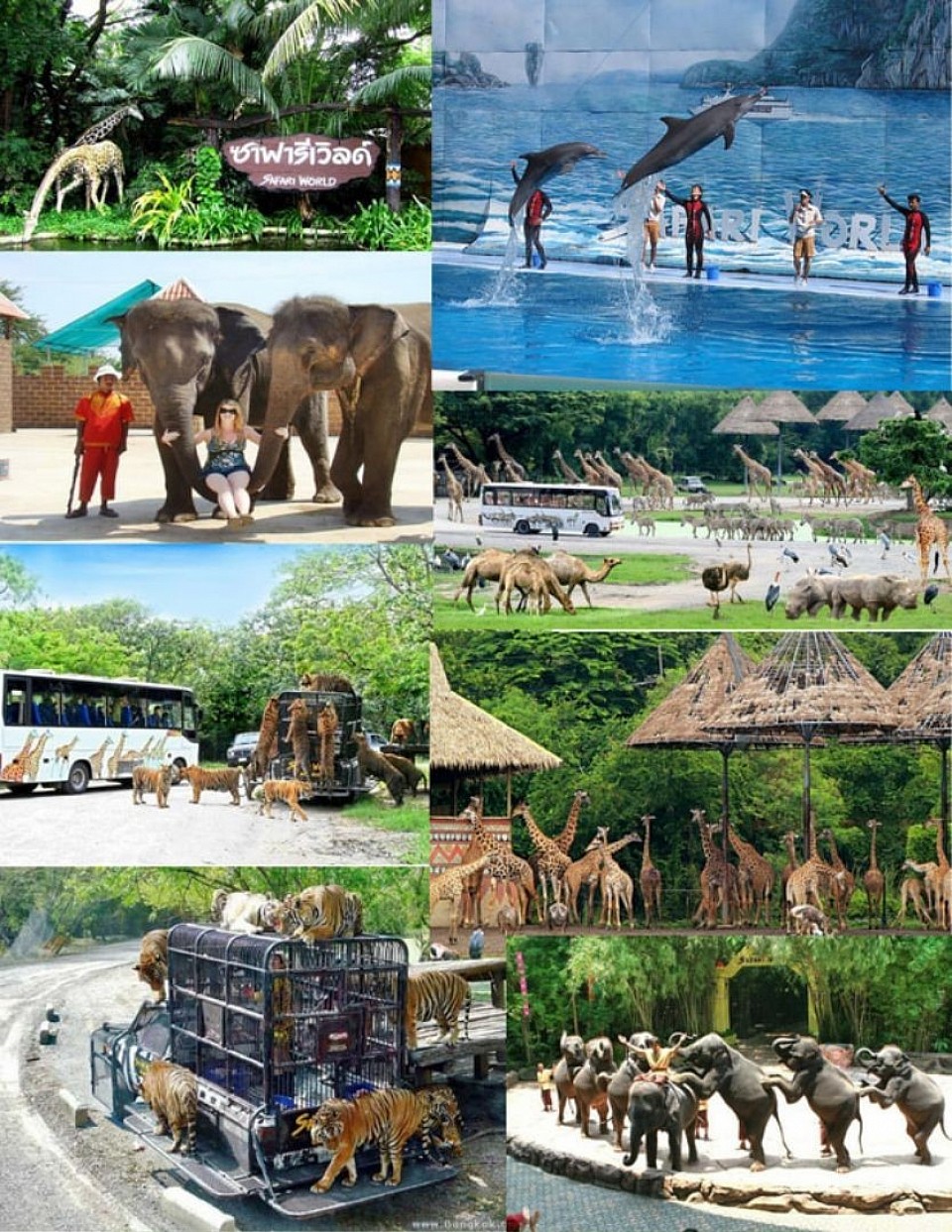 PROFESSIONAL DRIVER  Service by a professional van driver who specialize in all routes in Thailand Guarantee that your trip is 100% safe.